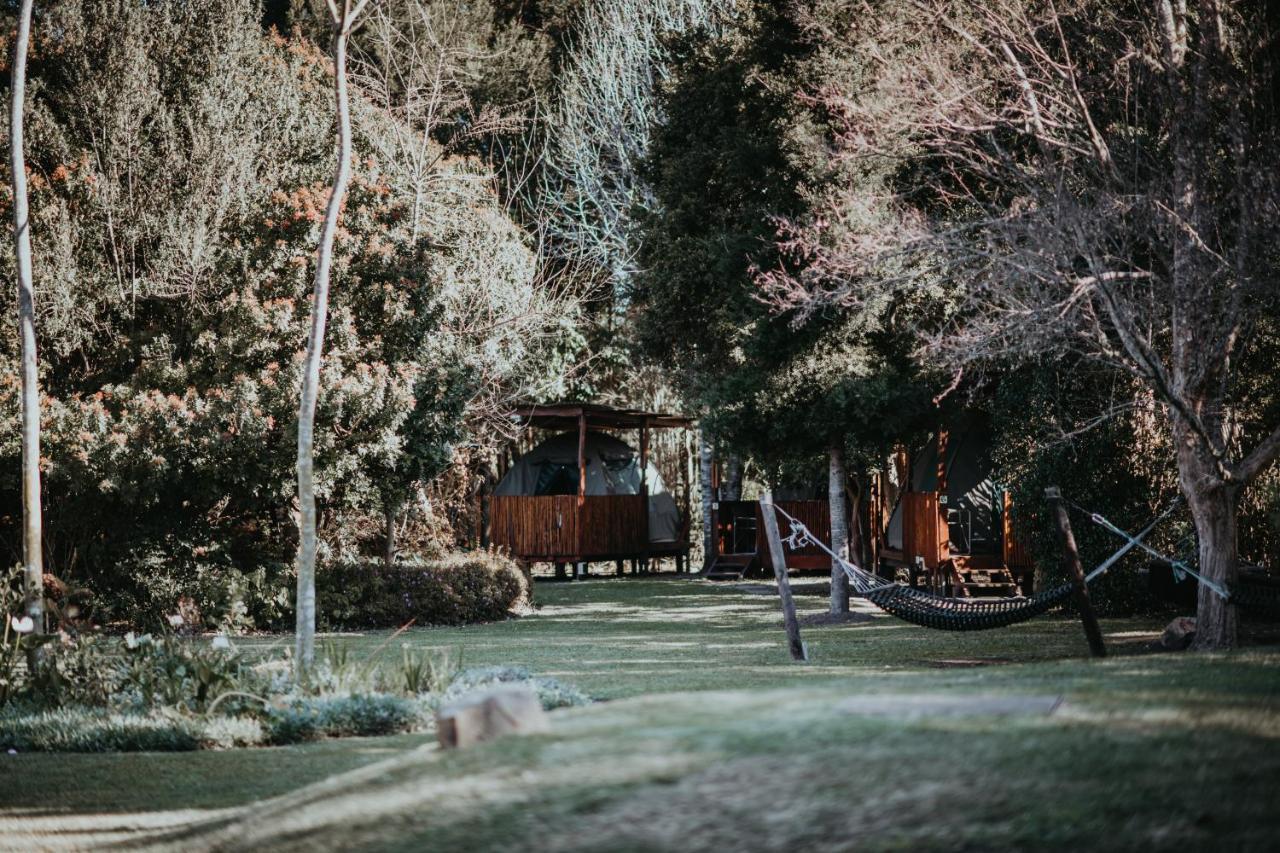 Tsitsikamma Backpackers Hostel Stormsrivier